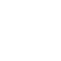 Solar Guitars Logo White